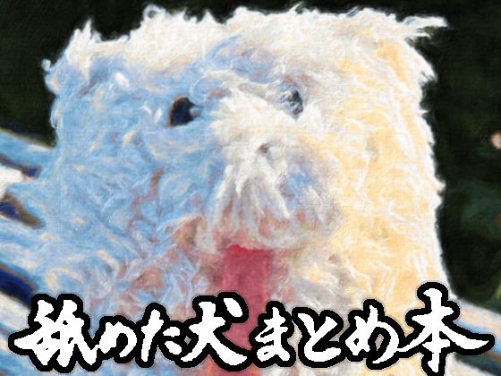 舐めた犬×ギャグ・コメディ❤舐めた犬まとめ本評価4.86