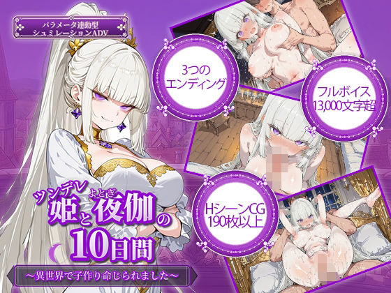 電脳ヒロインズ×ファンタジー❤ツンデレ姫と夜伽の10日間 〜異世界で子作り命じられました〜評価