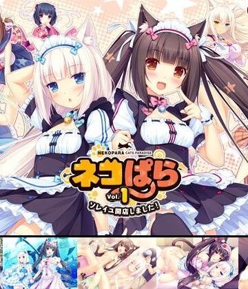 NEKO WORKs×ネコミミ・獣系❤ネコぱら vol.1 ソレイユ開店しました！評価4.66