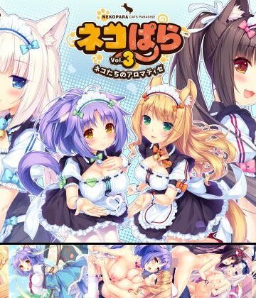 NEKO WORKs×恋愛❤ネコぱら vol.3 ネコたちのアロマティゼ評価4.91