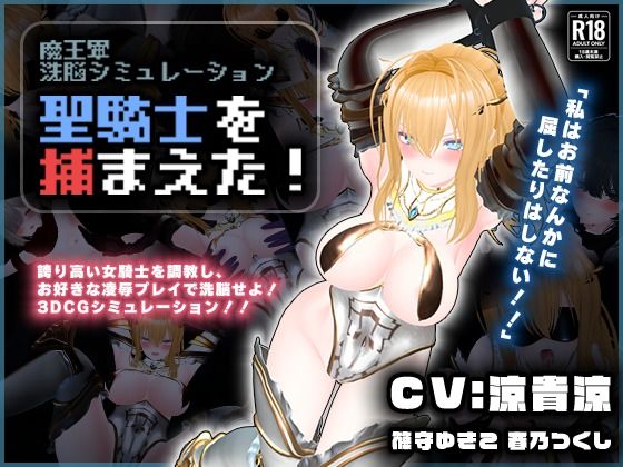 こうねつひ×3DCG❤【CV:涼貴涼、篠守ゆきこ、春乃つくし】聖騎士を捕まえた！【魔王軍洗脳シミュレーション】評価1.00
