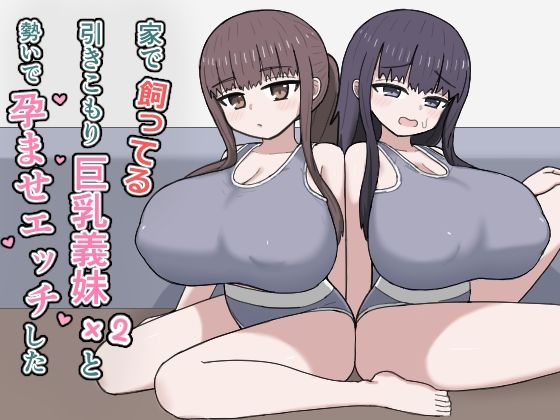 にしかわ屋×デモ・体験版あり❤家で飼ってる引きこもり巨乳義妹×2と勢いで孕ませエッチした評価