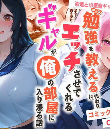 夜の快楽×制服❤勉強を教える代わりにエッチをさせてくれるギャルが俺の部屋に入り浸る話 〜清楚と小悪魔ギャルの純愛編〜評価