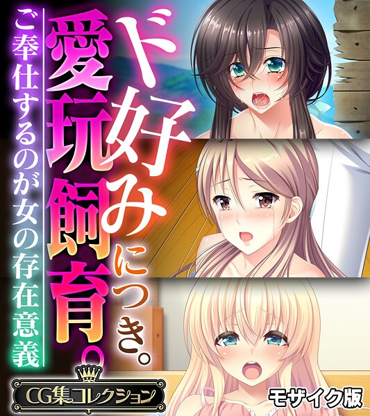 【大人のSEXY絵本】ド好みにつき。愛玩飼育。 〜ご奉仕するのが女の存在意義〜【CG集コレクション】 モザイク版❤フルカラー｜ド好みにつき。愛玩飼育。 〜ご奉仕するのが女の存在意義〜【CG集コレクション】 モザイク版｜試し読み